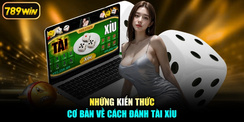 Những kiến thức cơ bản về cách đánh tài xỉu