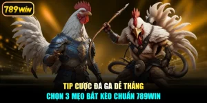 Tip Cược Đá Gà Dễ Thắng - Chọn 3 Mẹo Bắt Kèo Chuẩn 789win